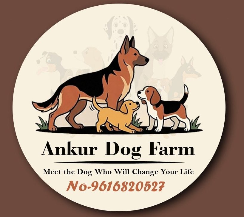 Ankur Dog Farm